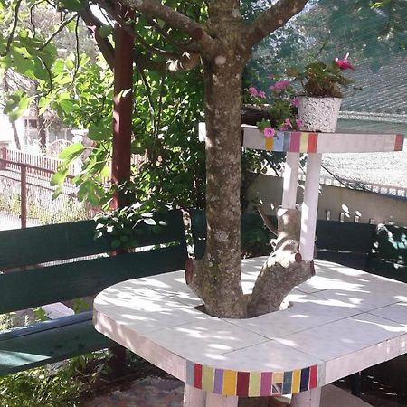 Eleni Apartment Tivat Bagian luar foto