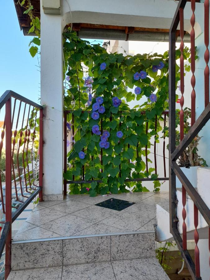 Eleni Apartment Tivat Bagian luar foto