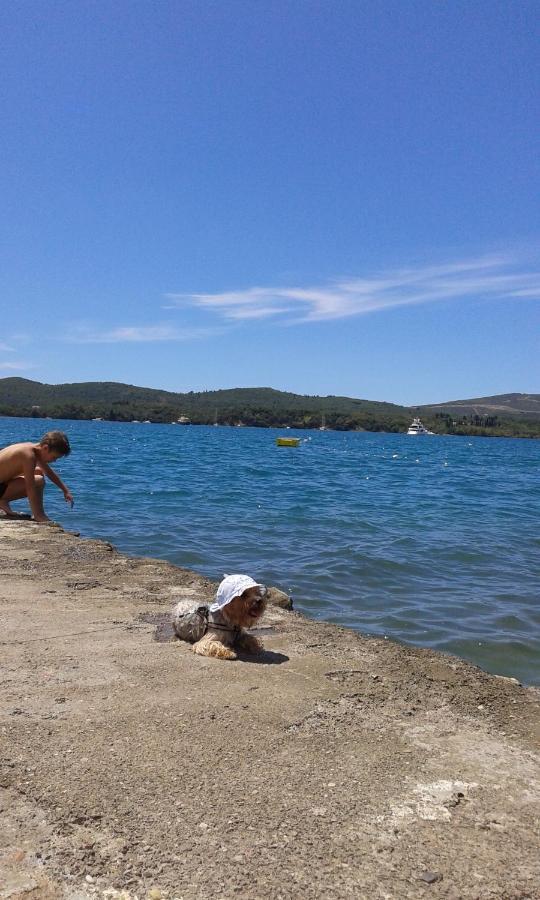 Eleni Apartment Tivat Bagian luar foto